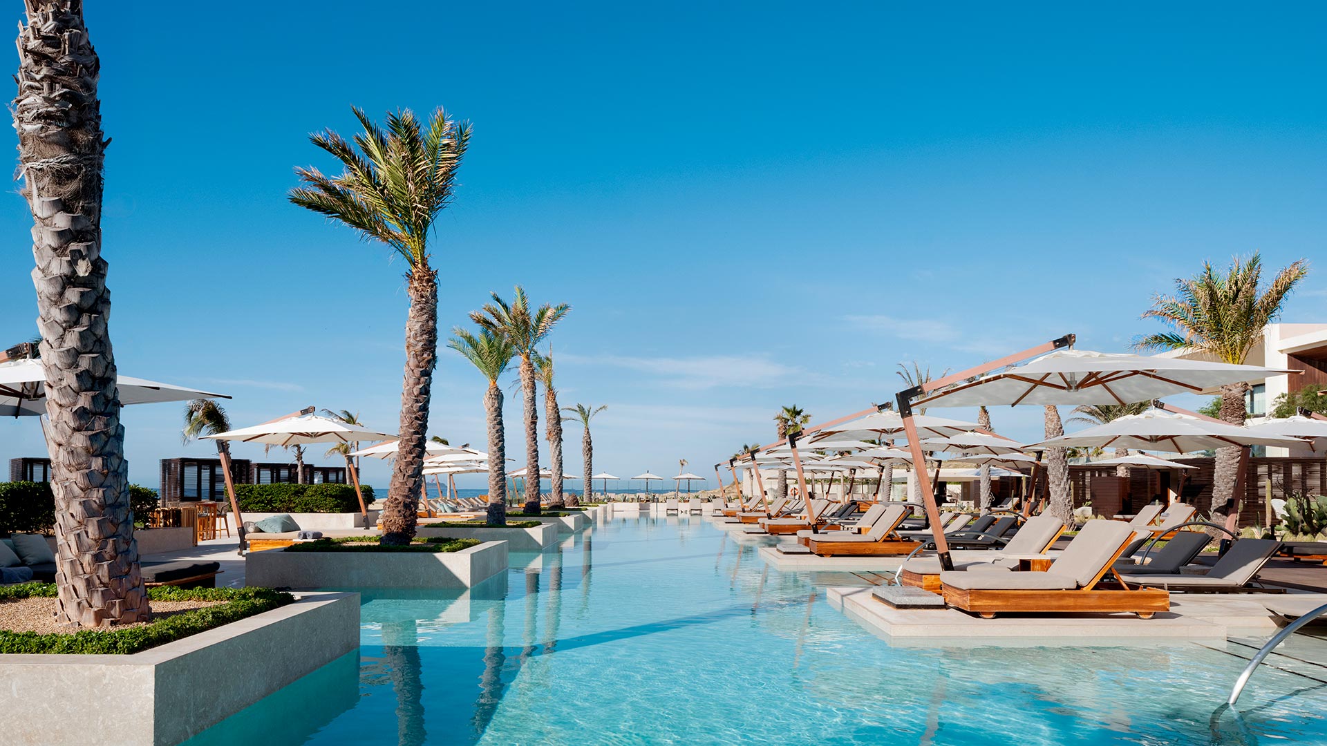 Cortes Pool Nobu Los Cabos